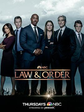 法律与秩序 第二十二季 第09集