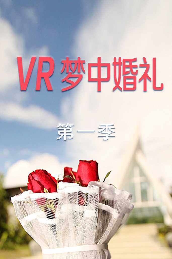 VR梦中婚礼 第一季 第04期