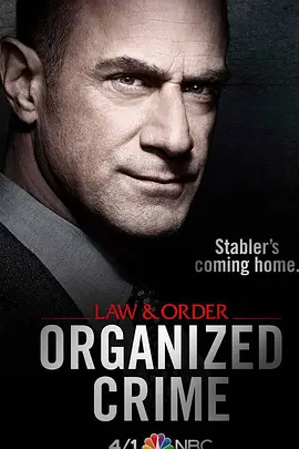 法律与秩序组织犯罪第一季 第4集