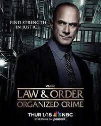 法律与秩序：组织犯罪 第四季 3